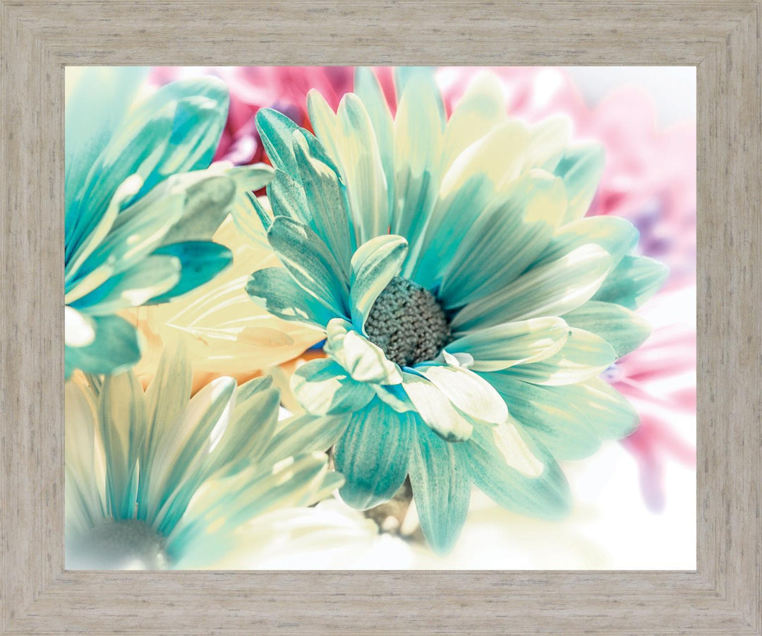 Aqua Petal Dream - 28" x 34" Framed Wall Art