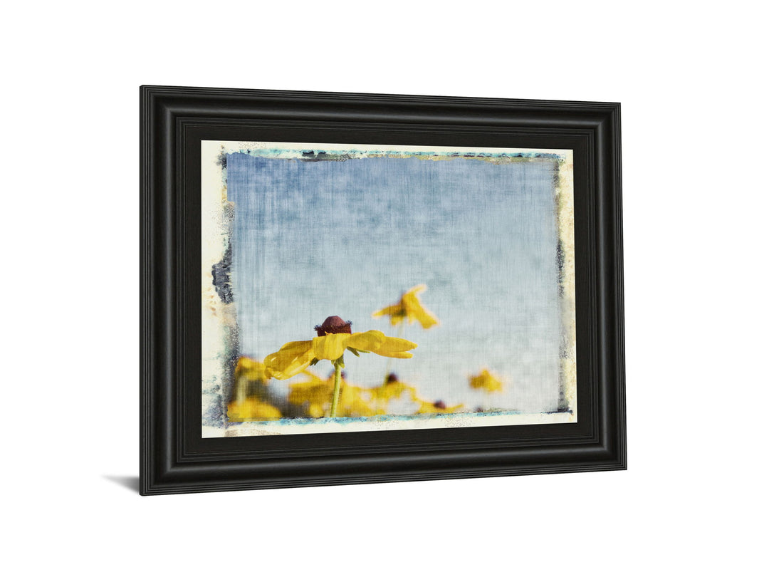 Blackeyed Susan&