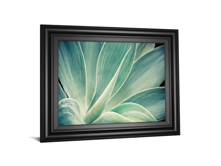 Fresnillo By Irene Suchocki - Framed Print Wall Art - Green