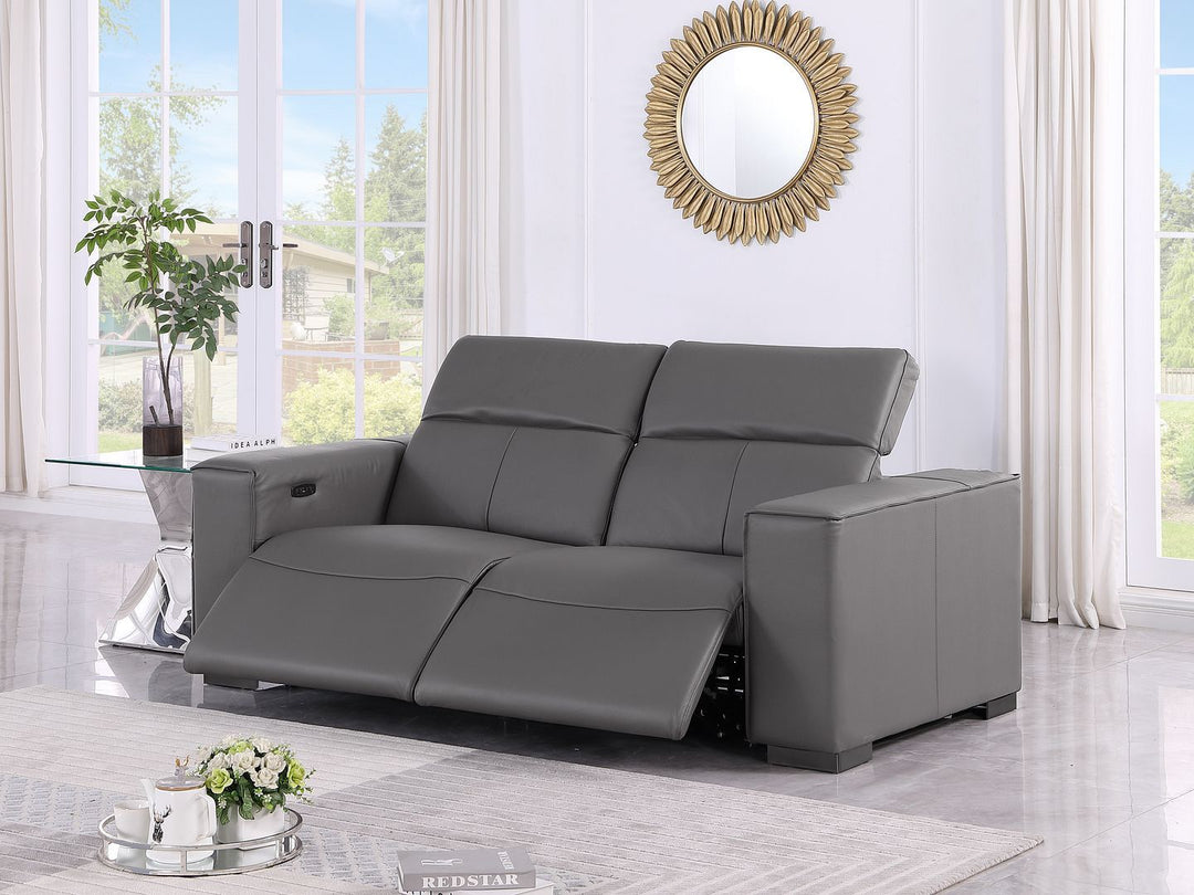 1208 - Dual Power Reclining Loveseat