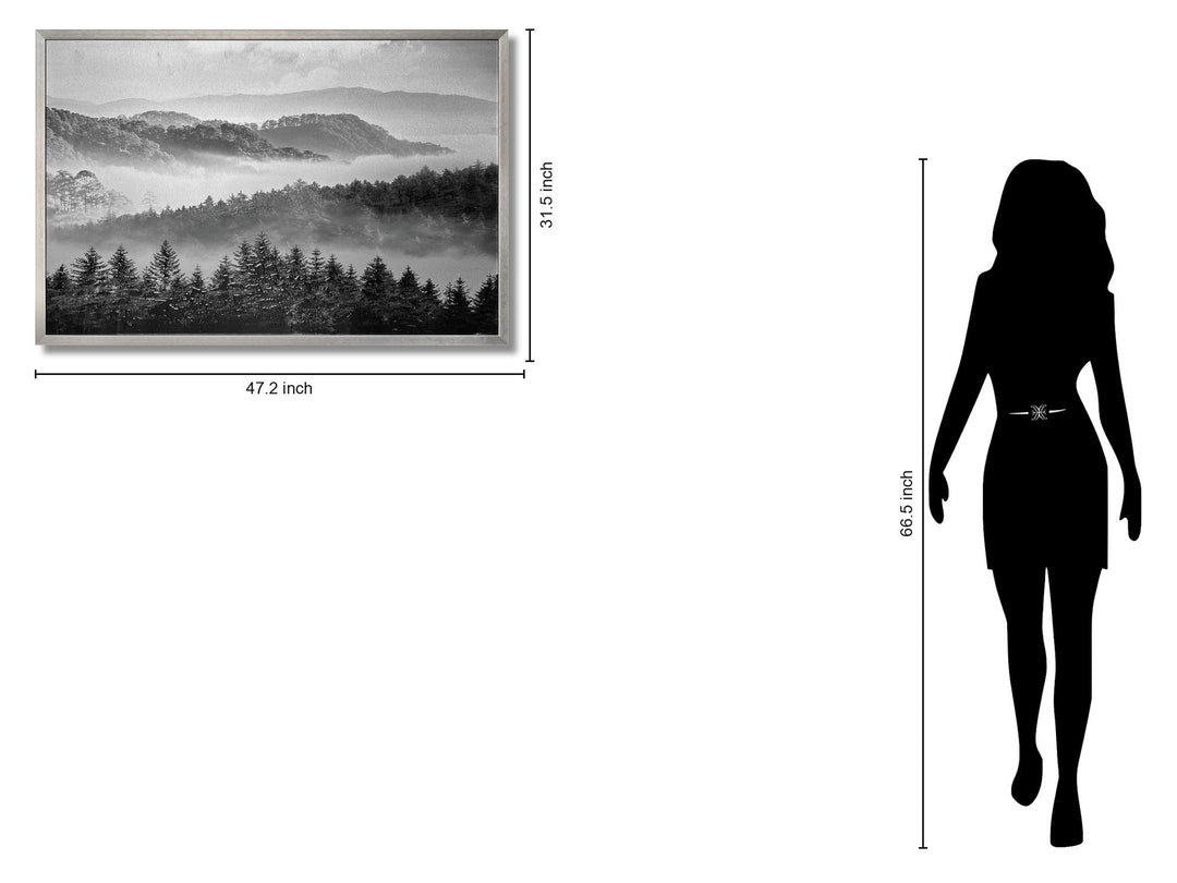Misty Pine Veil - 32" x 47" Framed Wall Art - Gray