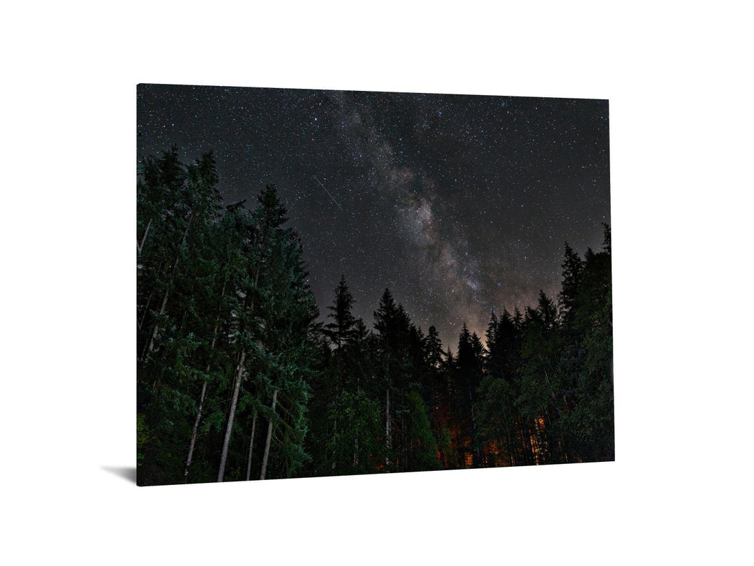 Tempered Glass With Foil - Starry Forest - Black