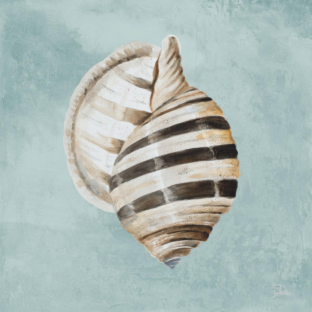 Framed - Modern Shell On Teal I By Patricia Pinto - Blue