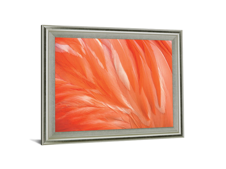 Citrus Plumage - 28" x 34" Framed Wall Art