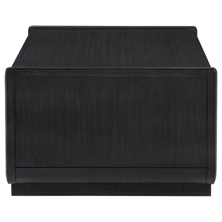Leandro 2-drawer Wood Cocktail Coffee Table Burnished Black