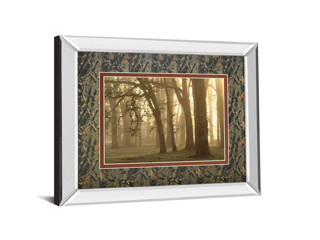 Woodland Sweep By Dennis Frate - Mirror Framed Print Wall Art - Light Brown