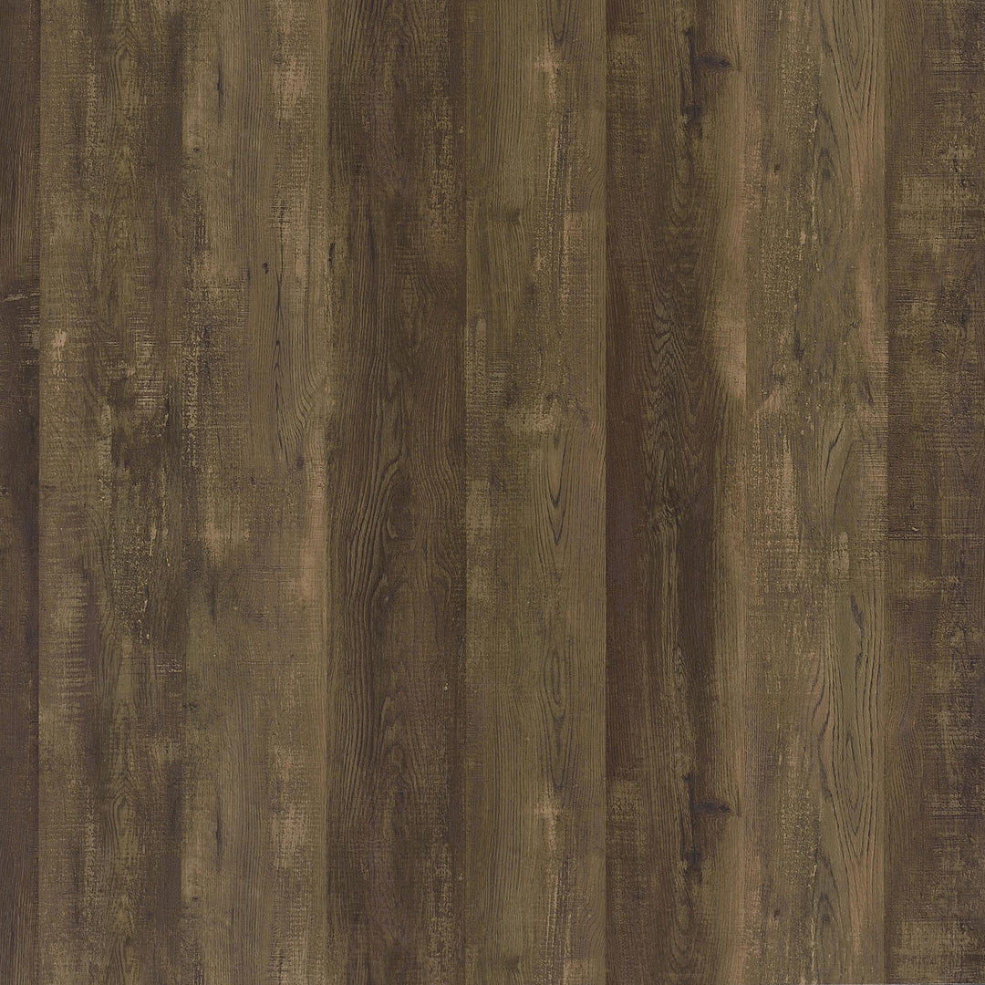 Myles 2-door Engineered Wood 60-inch TV Stand Rustic Oak