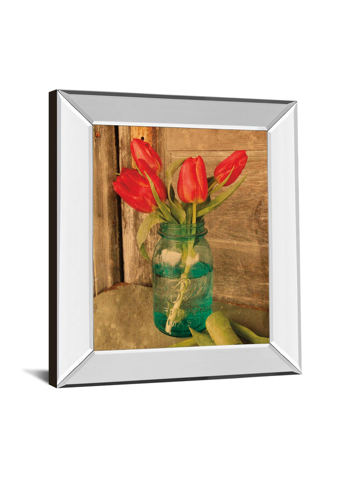 Country Tulips By Anthony Smith - Mirror Framed Print Wall Art - Red