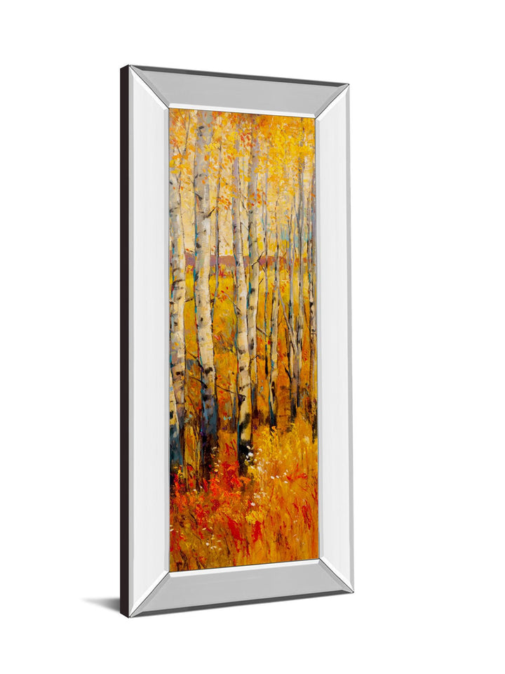 Vivid Birch Forest Il By Tim Otoole - Mirror Framed Print Wall Art - Orange