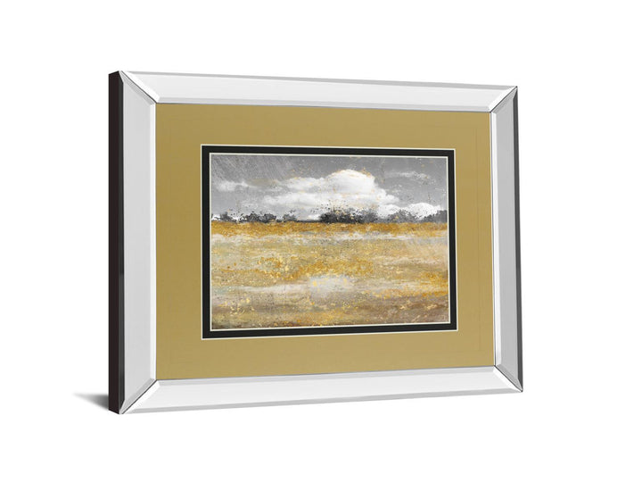 Meadow Shimmer Il By Nan - Mirror Framed Print Wall Art - Gold