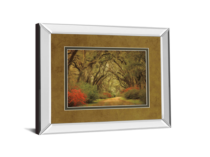 Road Lined With Oaks &amp; Flowers By William Guion And Mossy Oak Native Living - Mirror Framed Print Wall Art - Green