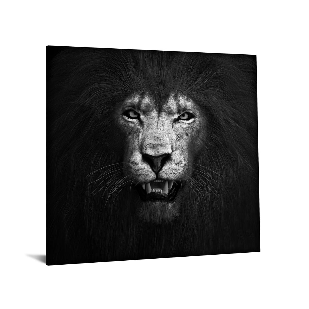 Tempered Glass With Foil - Lion B &amp; W - Black