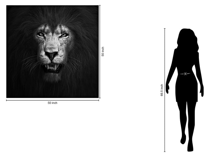 Tempered Glass With Foil - Lion B &amp; W - Black