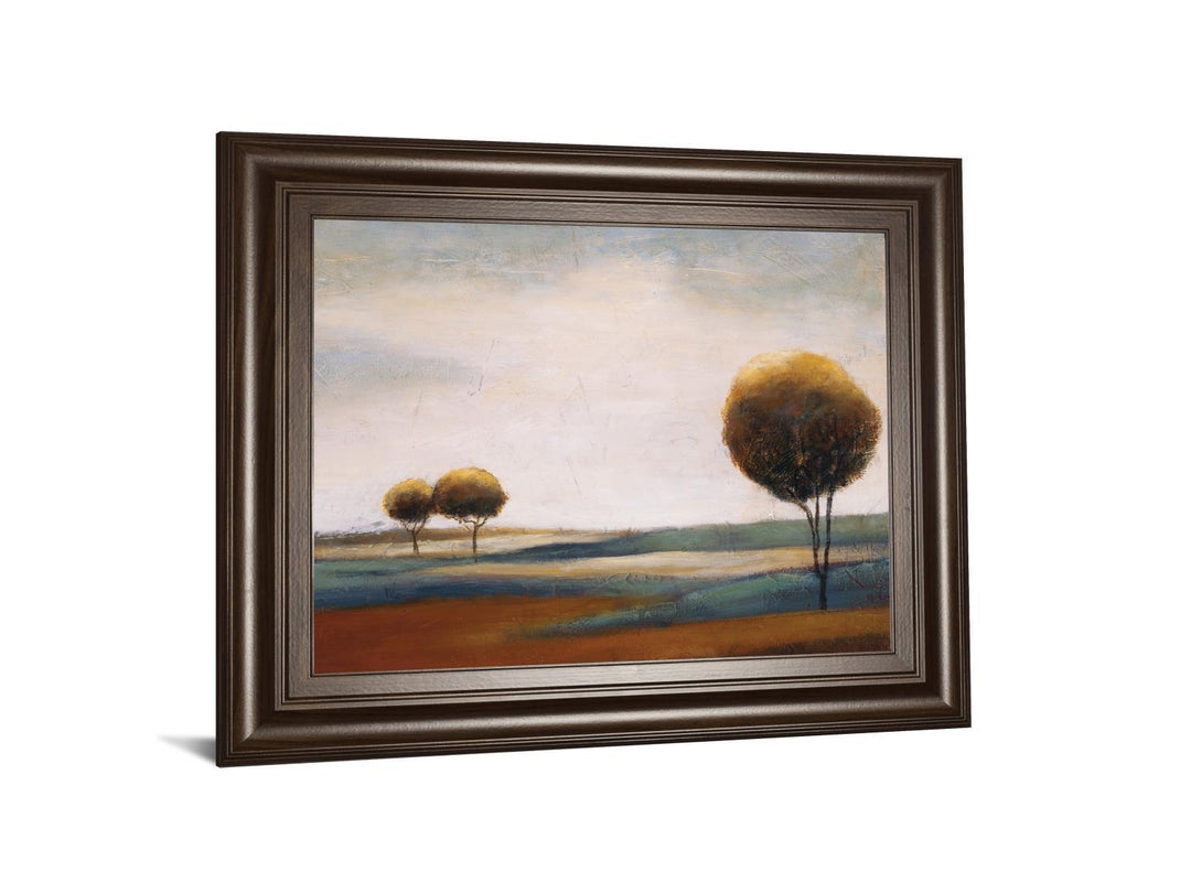 Tranquil Plains Il By Ursula Salemink-Roos - Framed Print Wall Art - Dark Brown