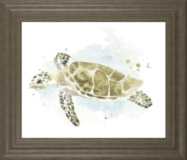 22x26 Watercolor Sea Turtle Study II By June Erica Vess - Beige