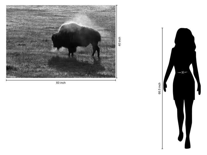 Tempered Glass - B&amp;W Buffalo - Dark Gray