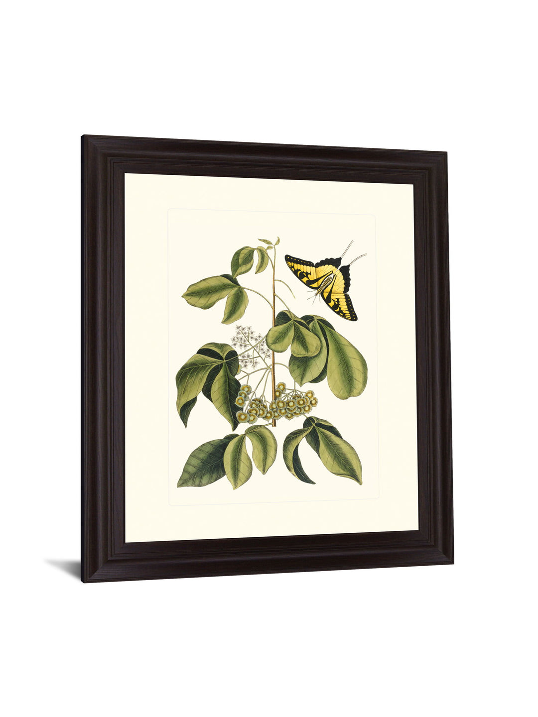 Butterfly Grove - 28" x 34" Framed Wall Art