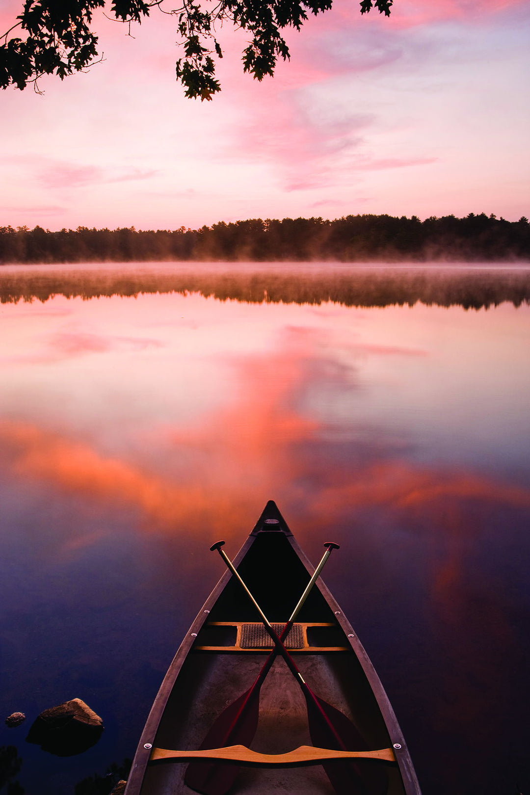 Framed Small - Lake At Dawn By Katrina Craven - Pink