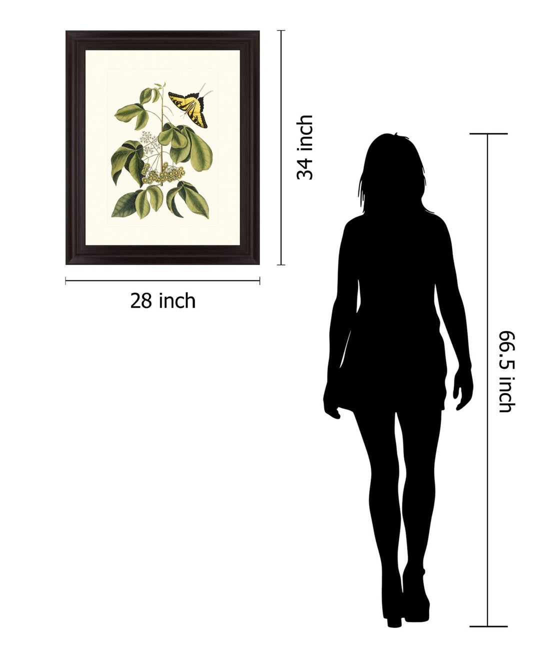 Butterfly Grove - 28" x 34" Framed Wall Art