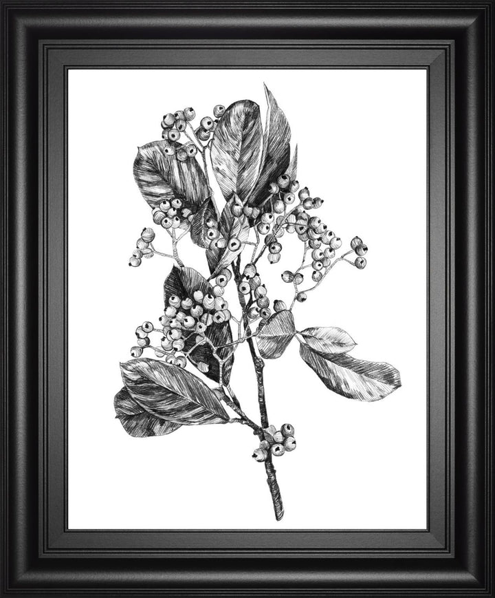 22x26 Hawthorn Berry Branch II By Emma Scarvey - White