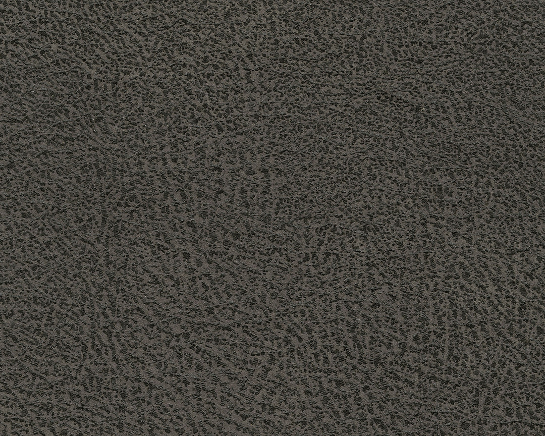 AS94002 Navi