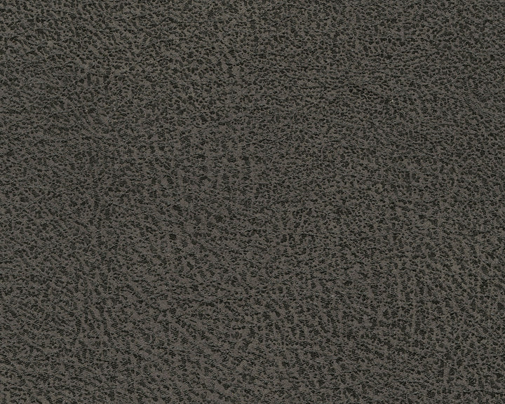 AS94002 Navi