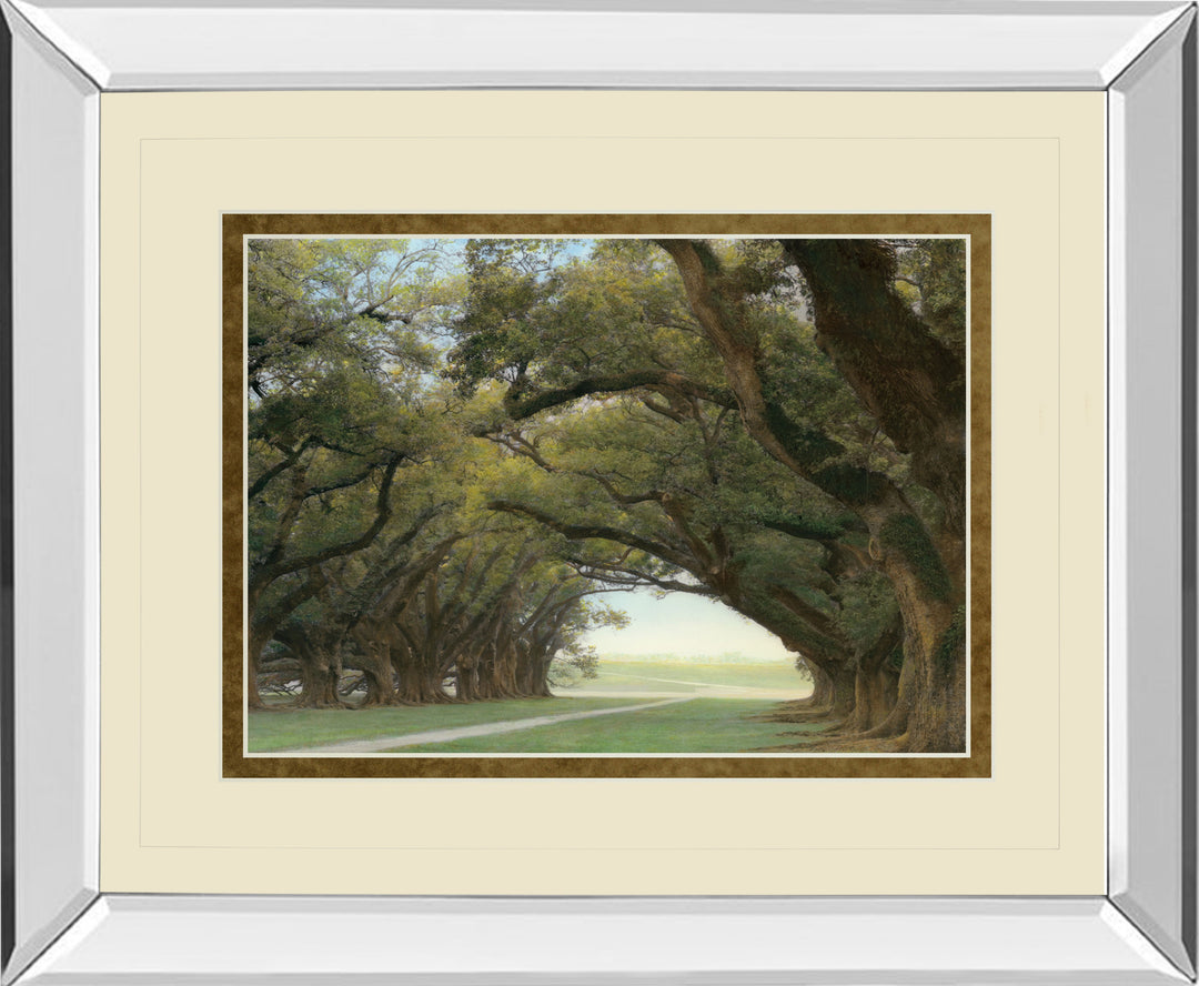 Alley Of The Oaks By William Guion - Mirror Framed Print Wall Art - Green