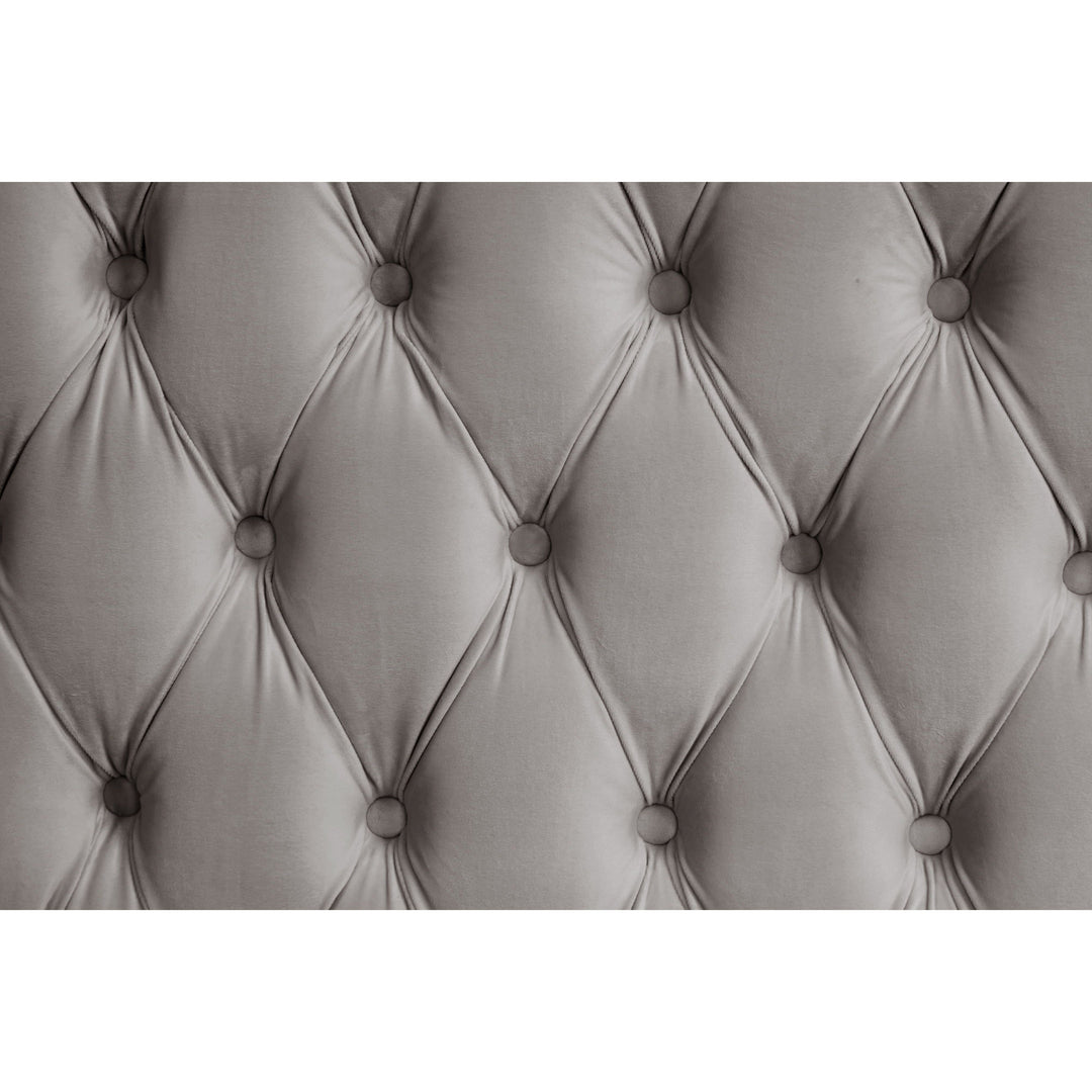 B8010 Royal (Grey)