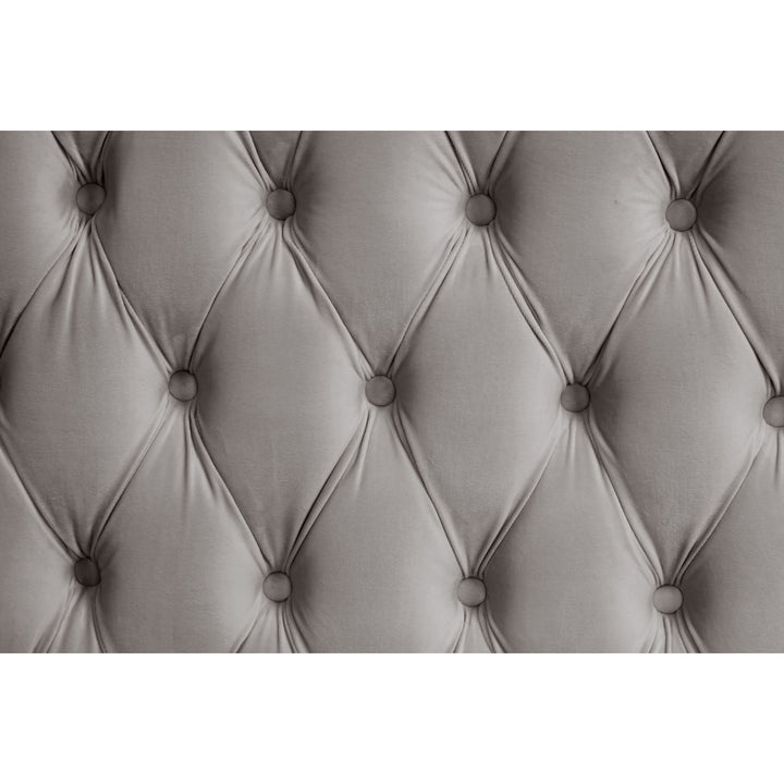B8010 Royal (Grey)