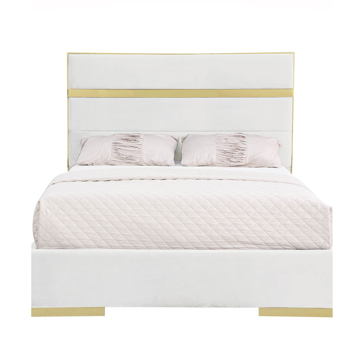 B810 Cartier (Ivory)
