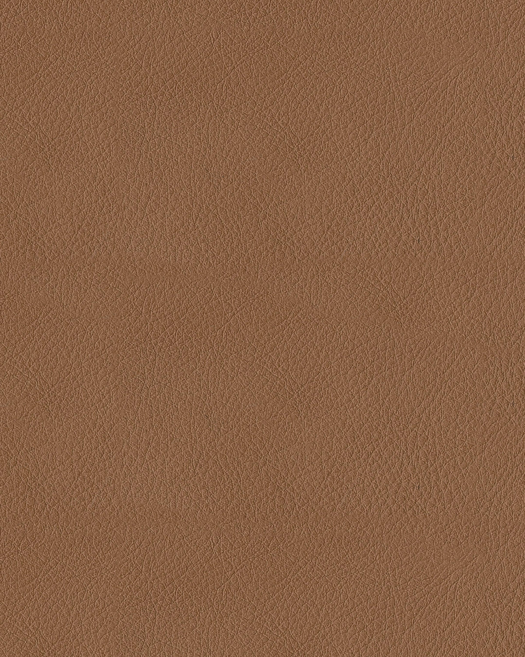ASPCU13401 Flynwood