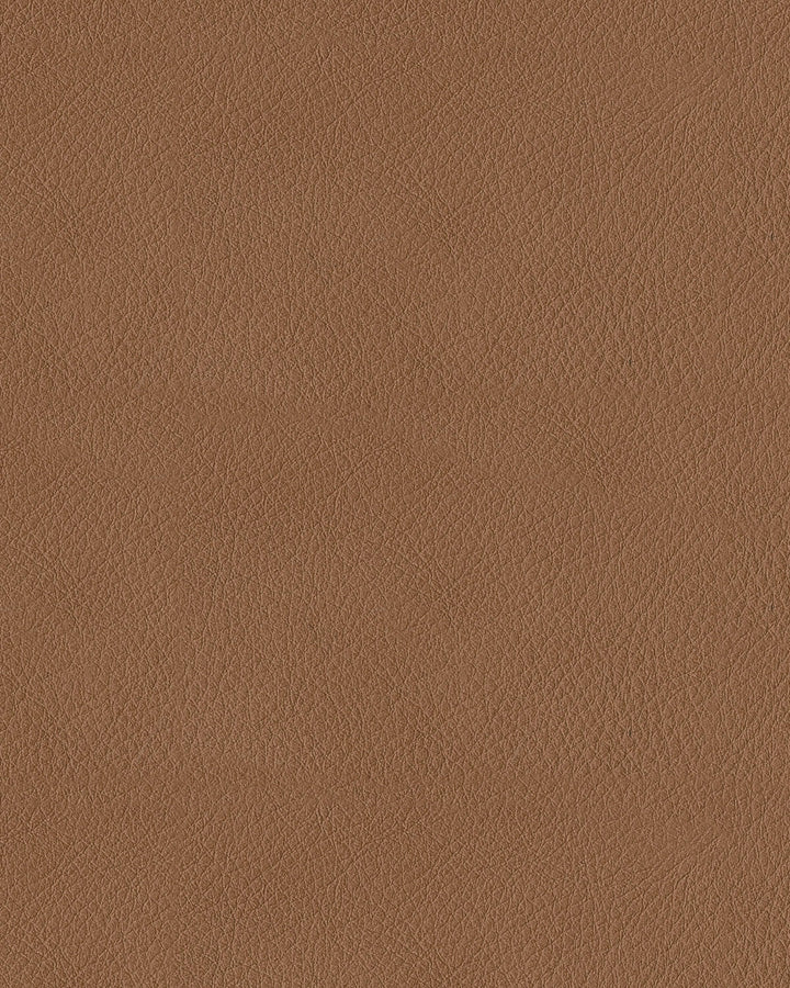 ASPCU13401 Flynwood