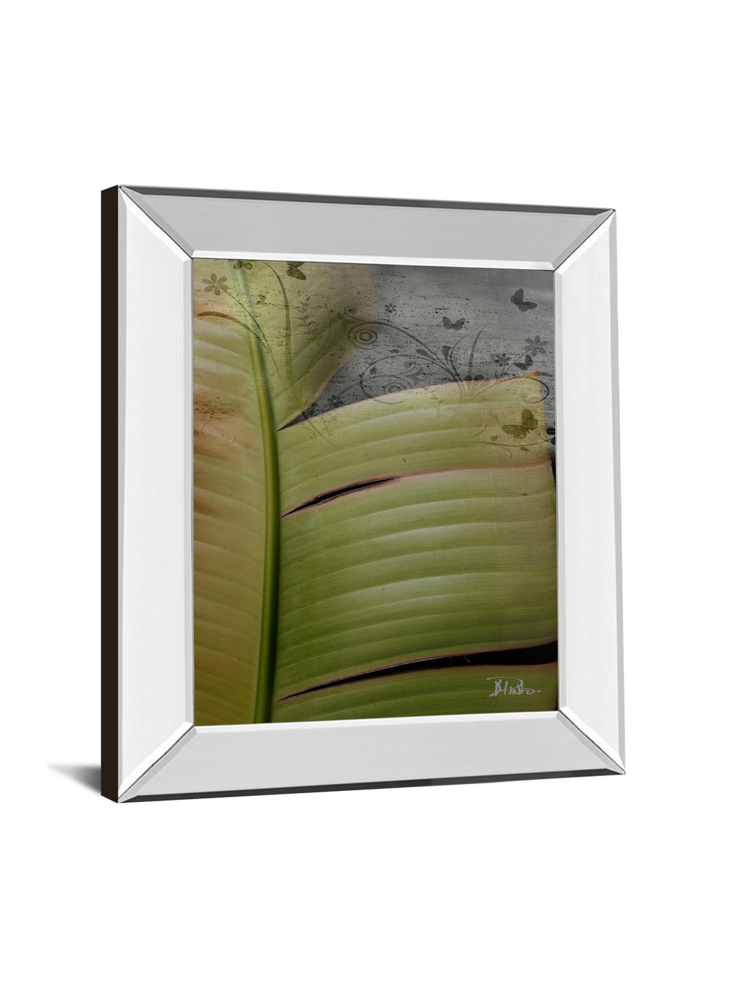 Butterfly Palm Il By Patricia Pinto - Mirror Framed Print Wall Art - Green