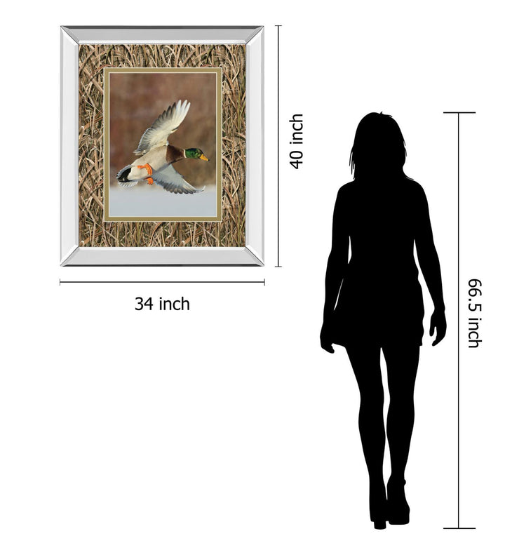 Flying Mallard By Steve Oehlenschlager Mirror Framed Mossy Oak Native Living Print - Dark Brown