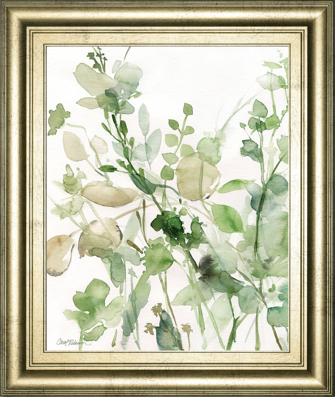 Sage Garden II By Carol Robinson - Framed Print Wall Art - Green