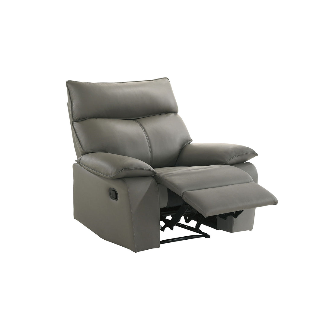 Wildcat - Motion Recliner - Gray