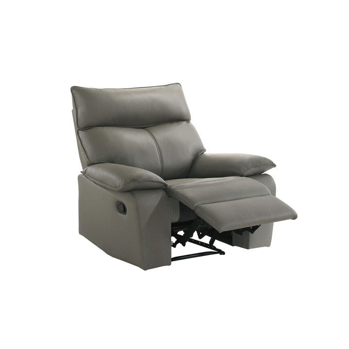 Wildcat - Motion Recliner - Gray