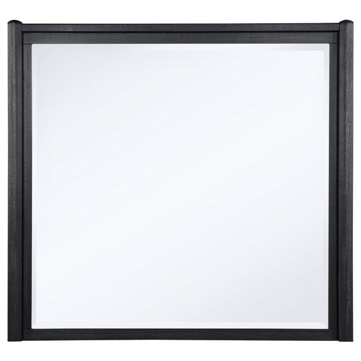 Leandro - Dresser Mirror - Burnished Black