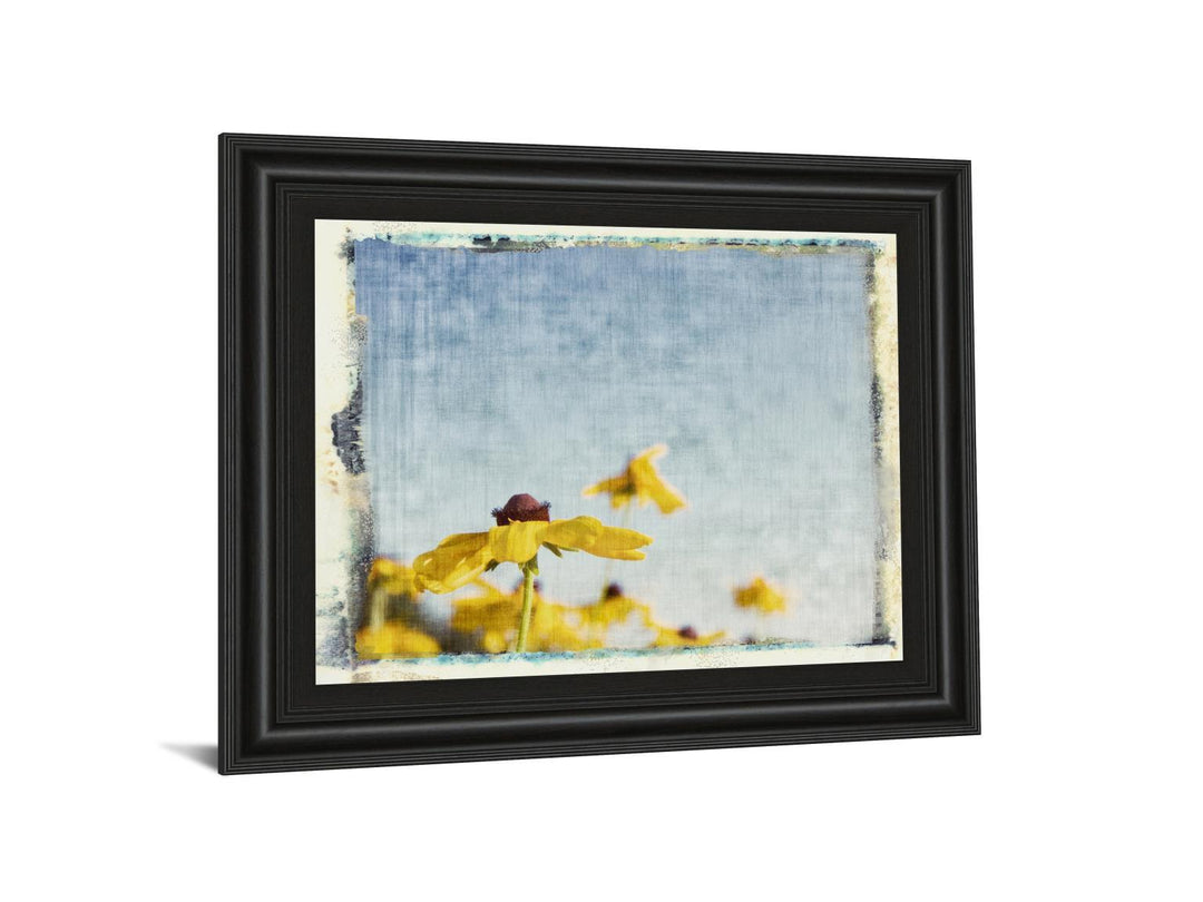 Blackeyed Susan's I By Meghan Mc Sweeney - Framed Print Wall Art - Yellow