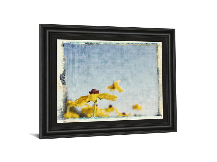 Blackeyed Susan's I By Meghan Mc Sweeney - Framed Print Wall Art - Yellow