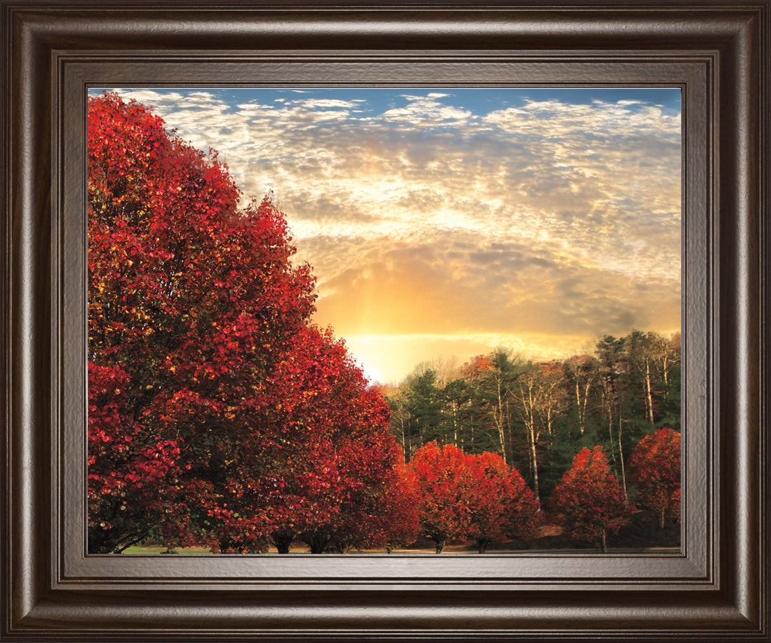 Crimson Tress By Celebrate Life Gallery - Framed Print Wall Art - Red