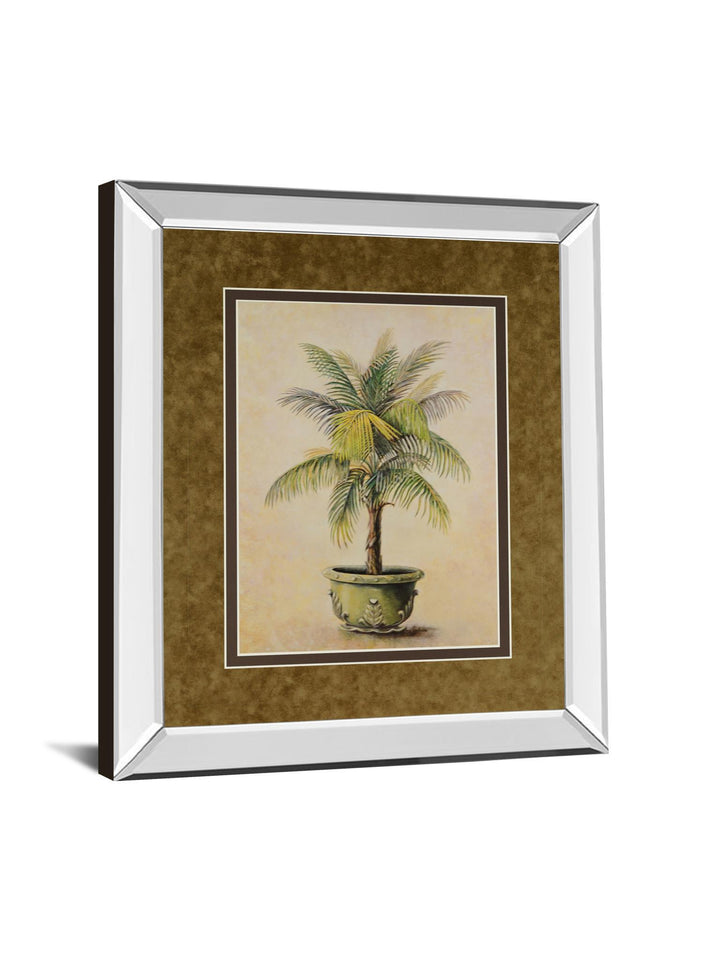 Potted Palm I - Mirror Framed Print Wall Art - Green