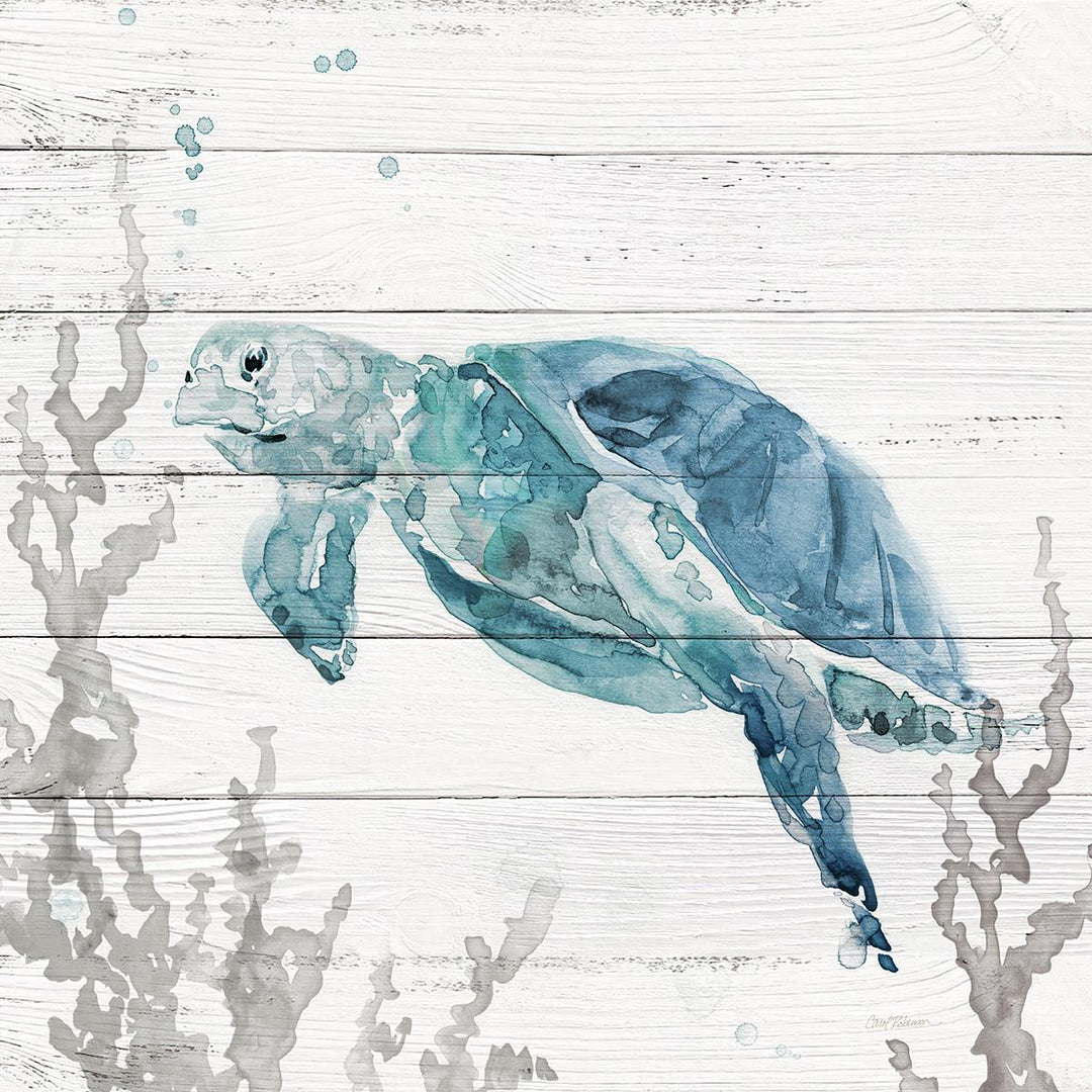 Aqua Turtle II By Carol Robinson (Small) - Beige