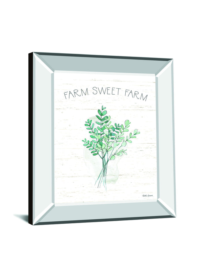Farmhouse Cotton V By Beth Grove - Mirror Framed Print Wall Art - White