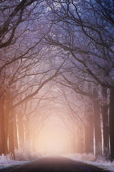 Warm And Cold By Martin Podt - Blue