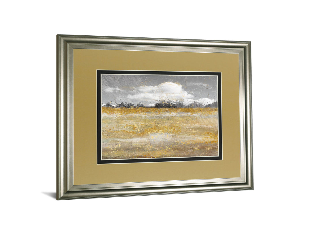 Meadow Shimmer Il By Nan - Framed Print Wall Art - Light Brown