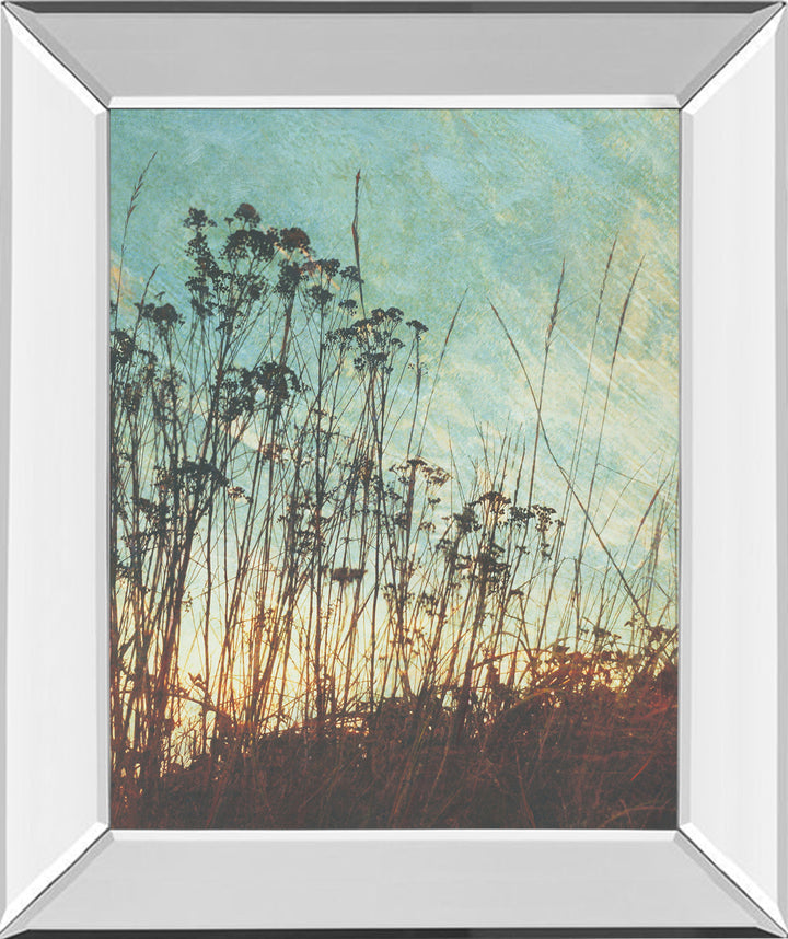 Wild Grass By Amy Melious - Mirror Framed Print Wall Art - Blue