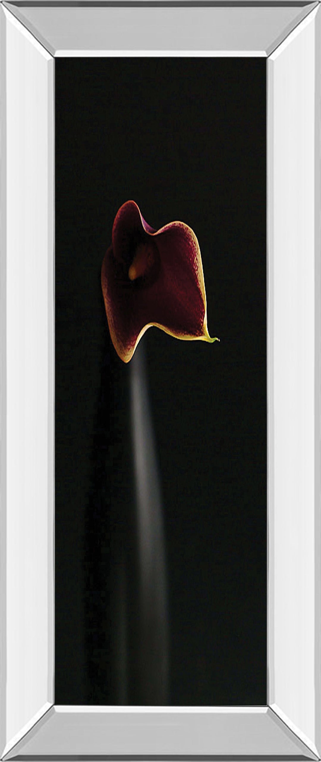 Calla In Ebony By Steven Mitchell - Mirror Framed Print Wall Art - Black