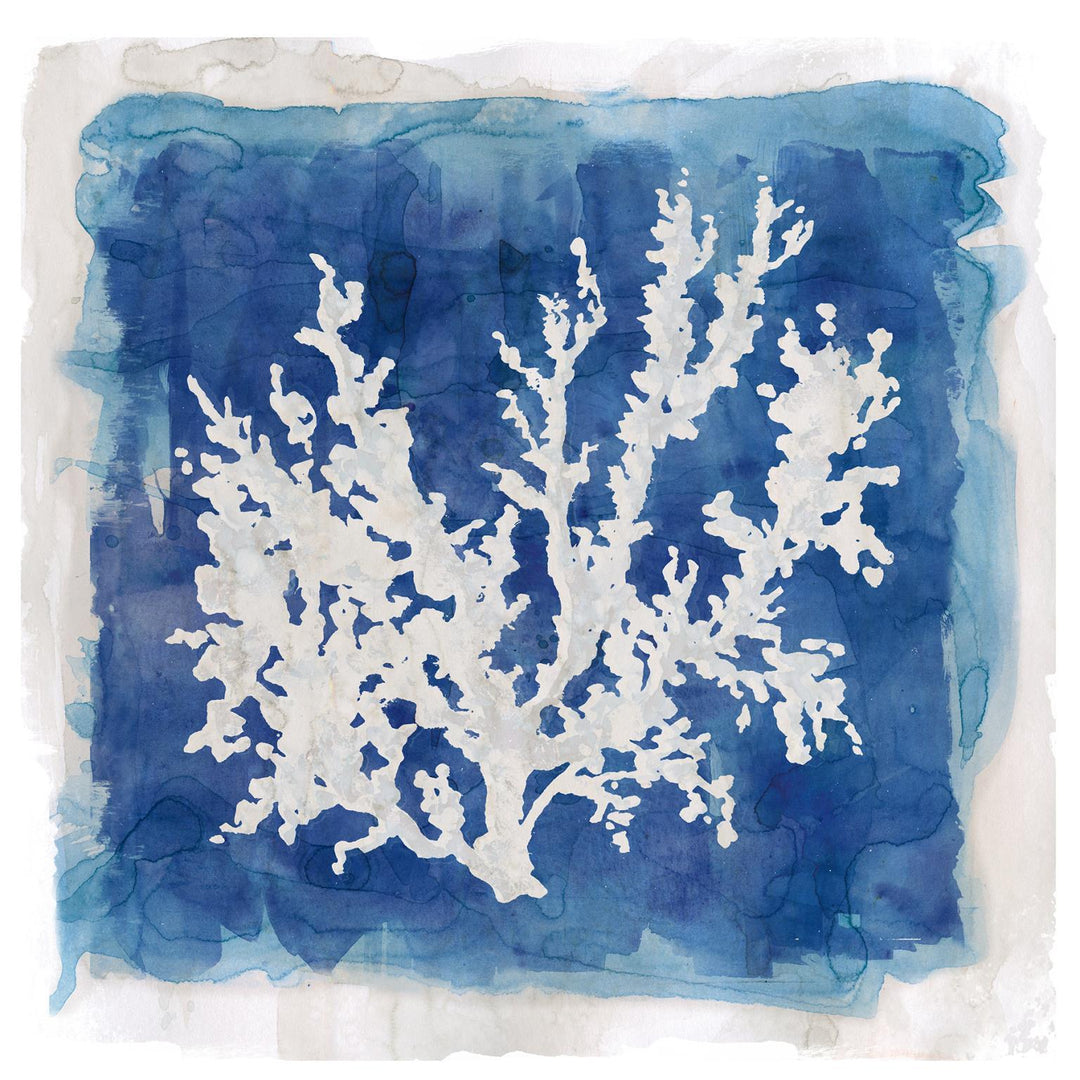 Coastal Washes Coral II By Carol Robinson - Blue