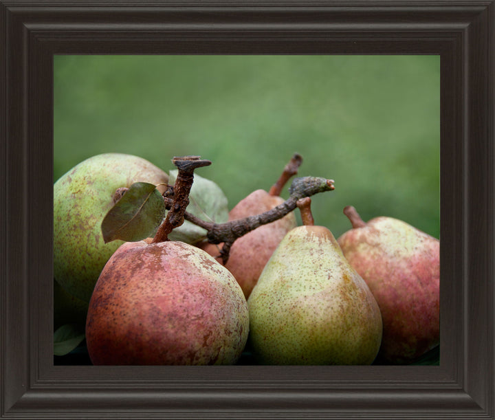 Comice Pear Il By Rachel Perry - Framed Print Wall Art - Green